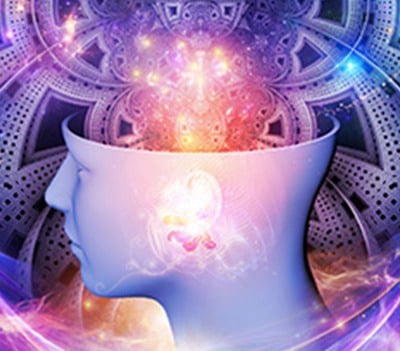 Total Money Magnetism